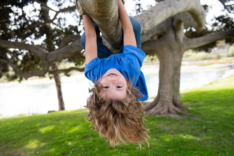 Kid hanging from tree